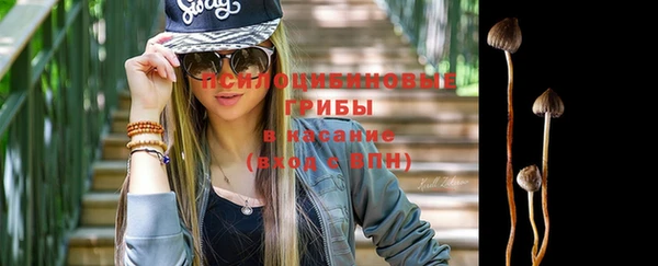 спайс Баксан