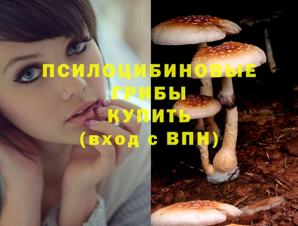 стафф Рославль