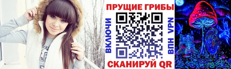 Галлюциногенные грибы мицелий купить наркотик Томмот
